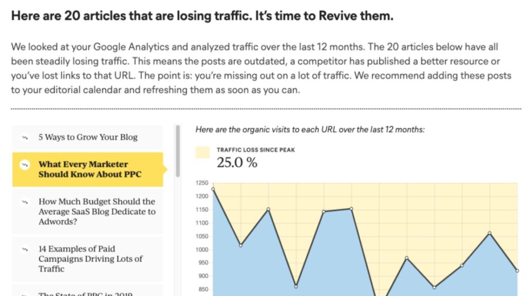 animalz revive animalzrevive Affordable Search Engine Optimization